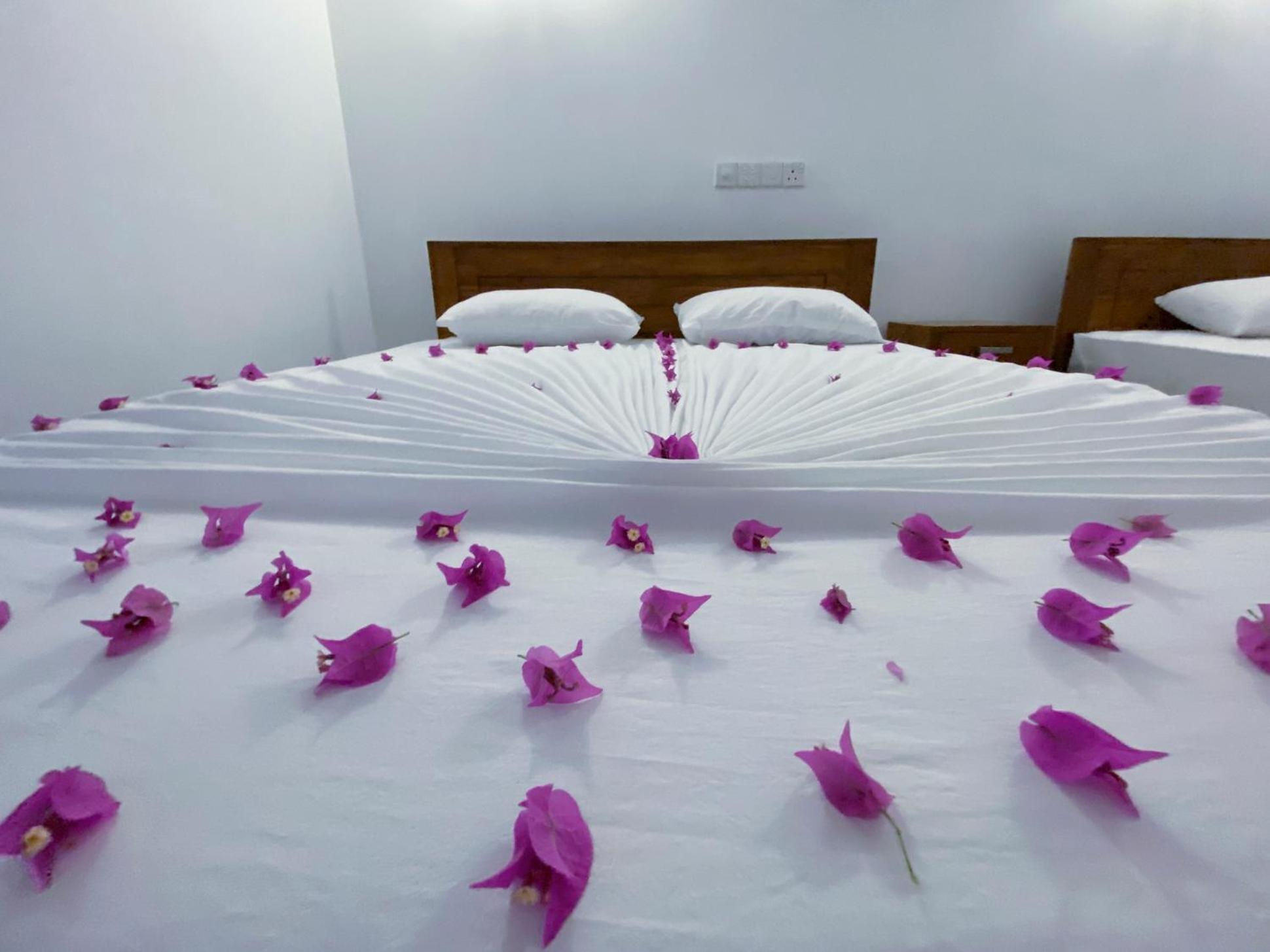 Yala Safari Green Home Stay Tissamaharama Exteriér fotografie